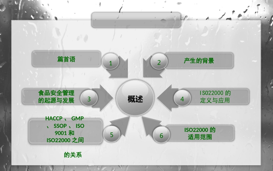 ISO22000食品安全管理体系[共38页]_第3页