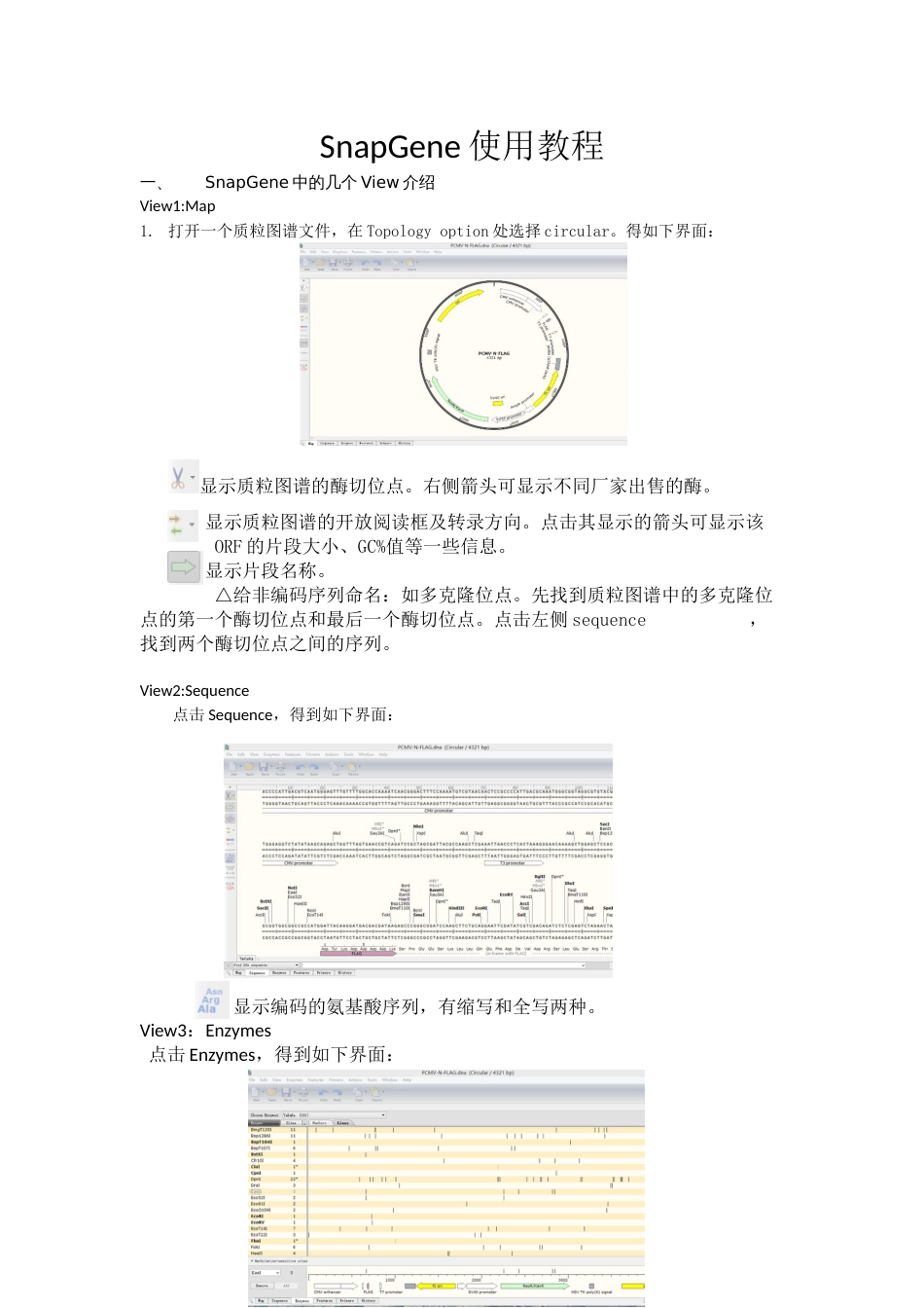 SnapGene中文使用教程_第1页