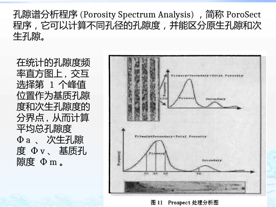 FMI孔隙频谱分析[共16页]_第2页