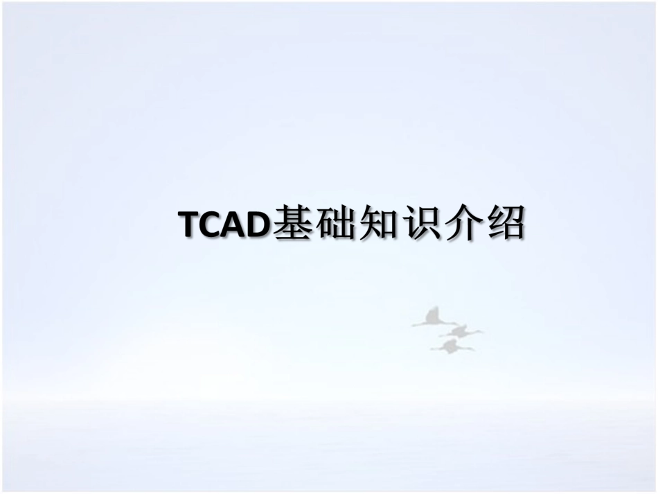 2TCAD基础知识[共29页]_第1页
