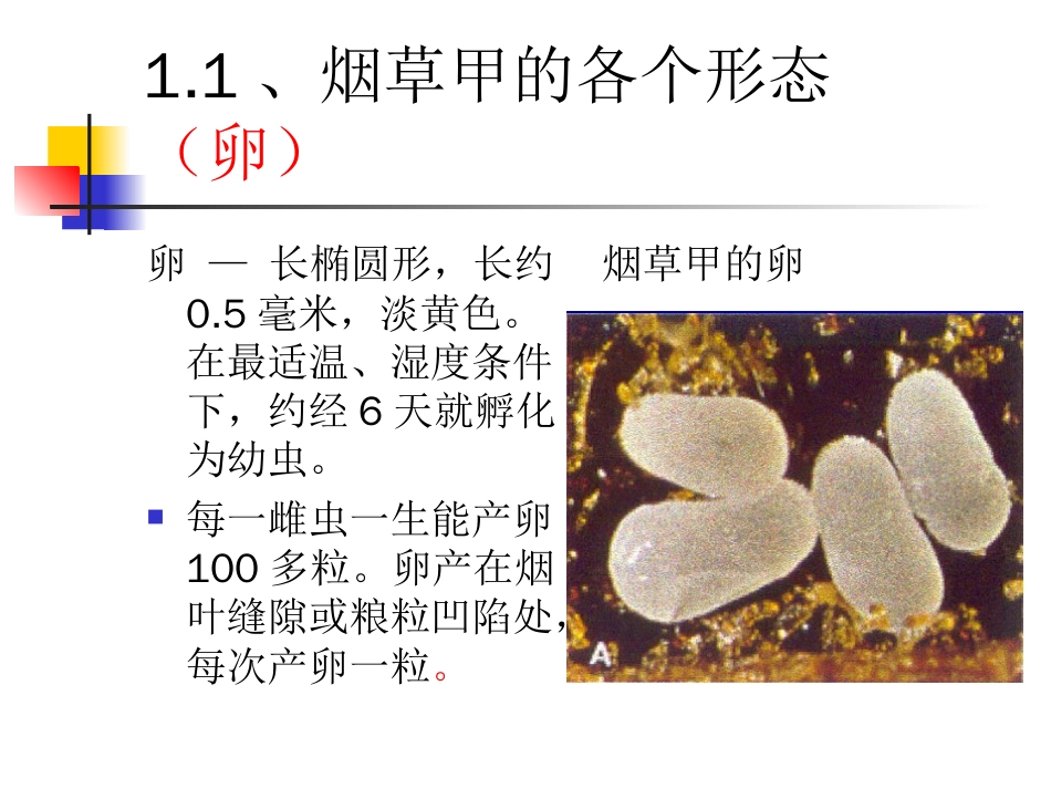 1、烟虫识别[共9页]_第1页