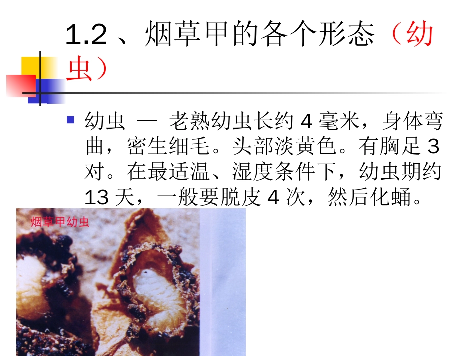 1、烟虫识别[共9页]_第2页