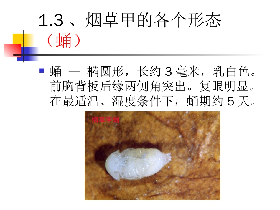 1、烟虫识别[共9页]_第3页