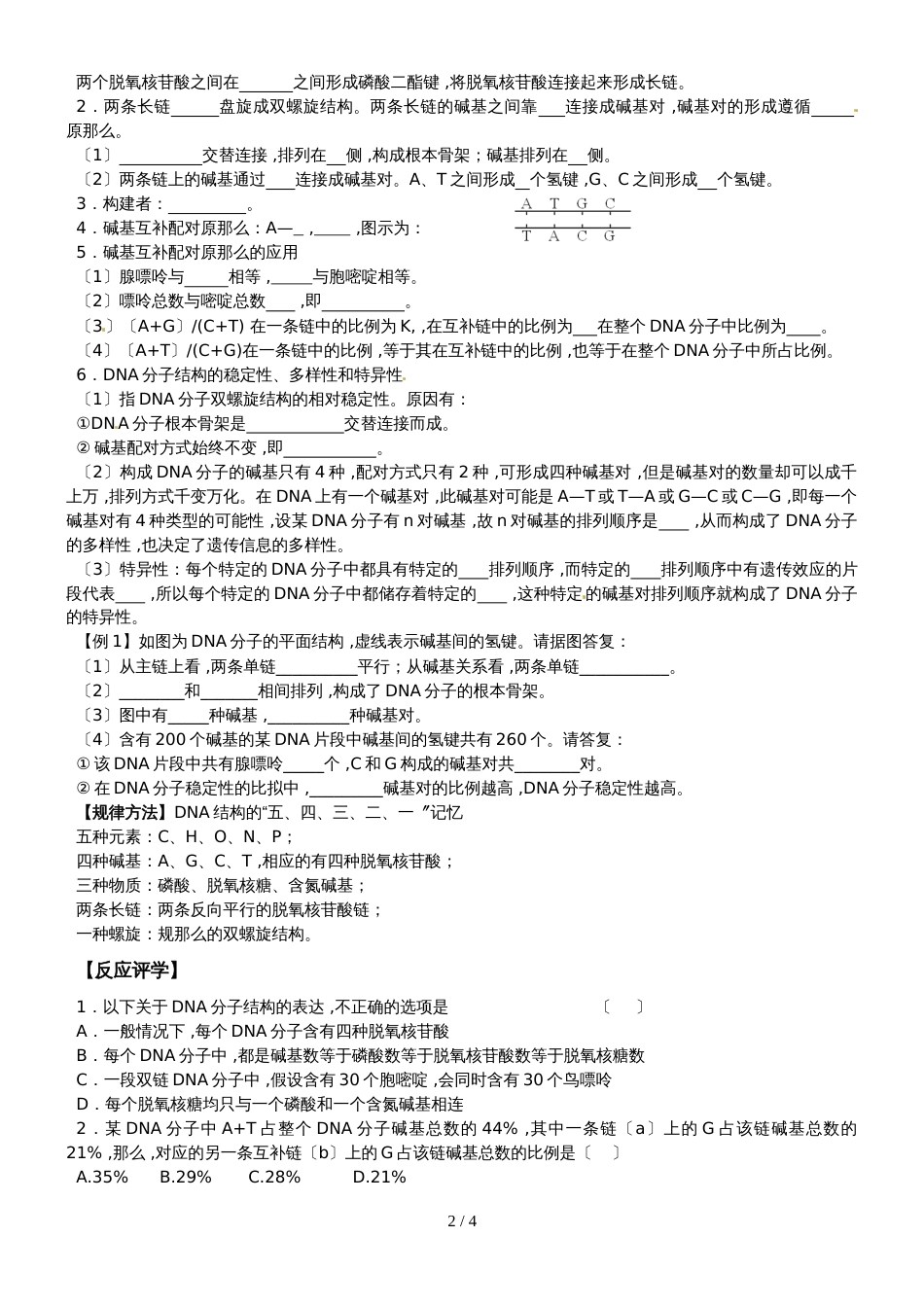 江苏省南通中学人教版高中生物必修二导学案（无答案）：第3章   第2节  DNA的分子结构_第2页