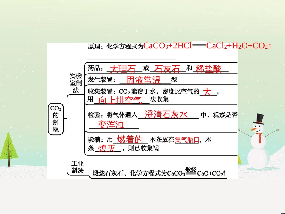 九年级化学上册 第六单元 碳和碳的氧化物 课题2 二氧化碳制取的研究课件 （新版）新人教版_第3页