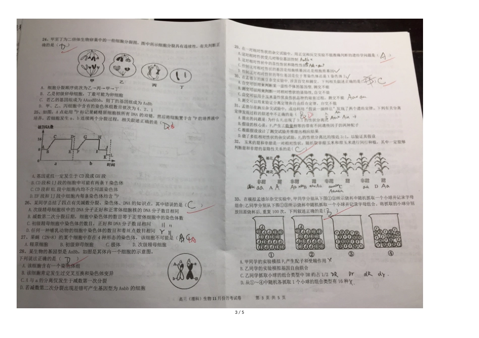 江西省南昌市外国语学校高三理科生物11月份月考试卷_第3页