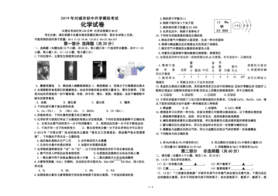 辽宁兴城中考一模化学试题_第1页