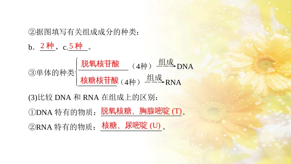 九年级语文下册 第一单元 1 家课件 语文版 (1013)_第3页