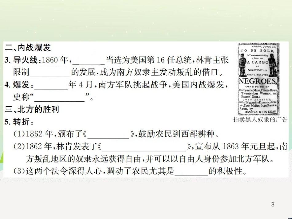 九年级历史下册 第1单元 殖民地人民的反抗与资本主义制度的扩展 第3课 美国内战作业课件 新人教版_第3页