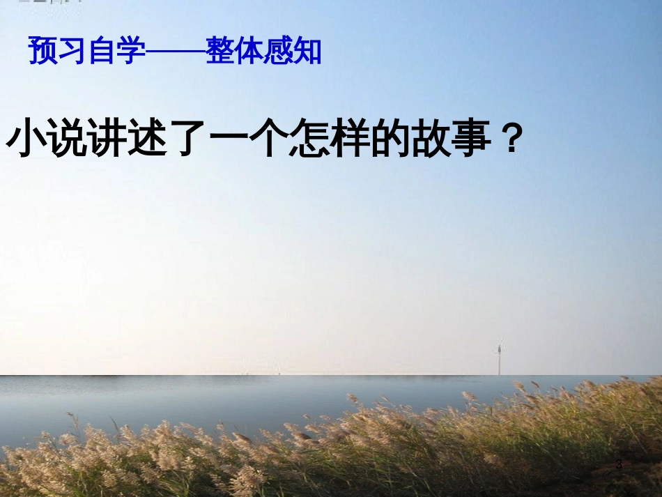 九年级语文上册 10《孤独之旅》课件 （新版）新人教版_第3页