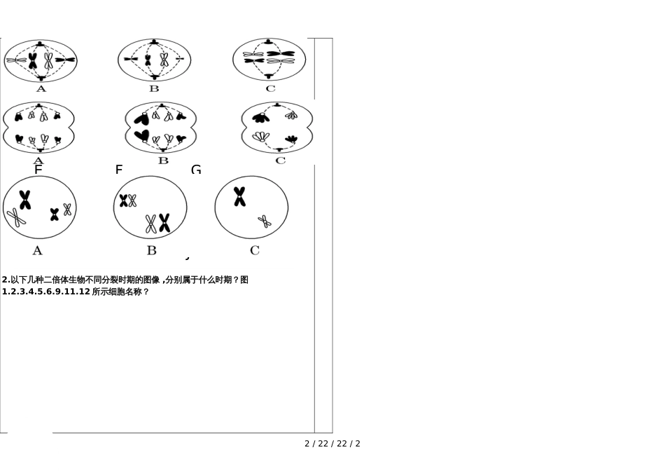 减数分裂2导学提纲 (1)_第2页