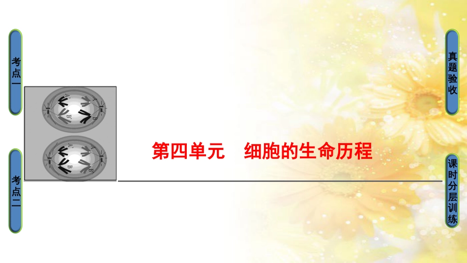九年级语文下册 第一单元 1 家课件 语文版 (1028)_第1页