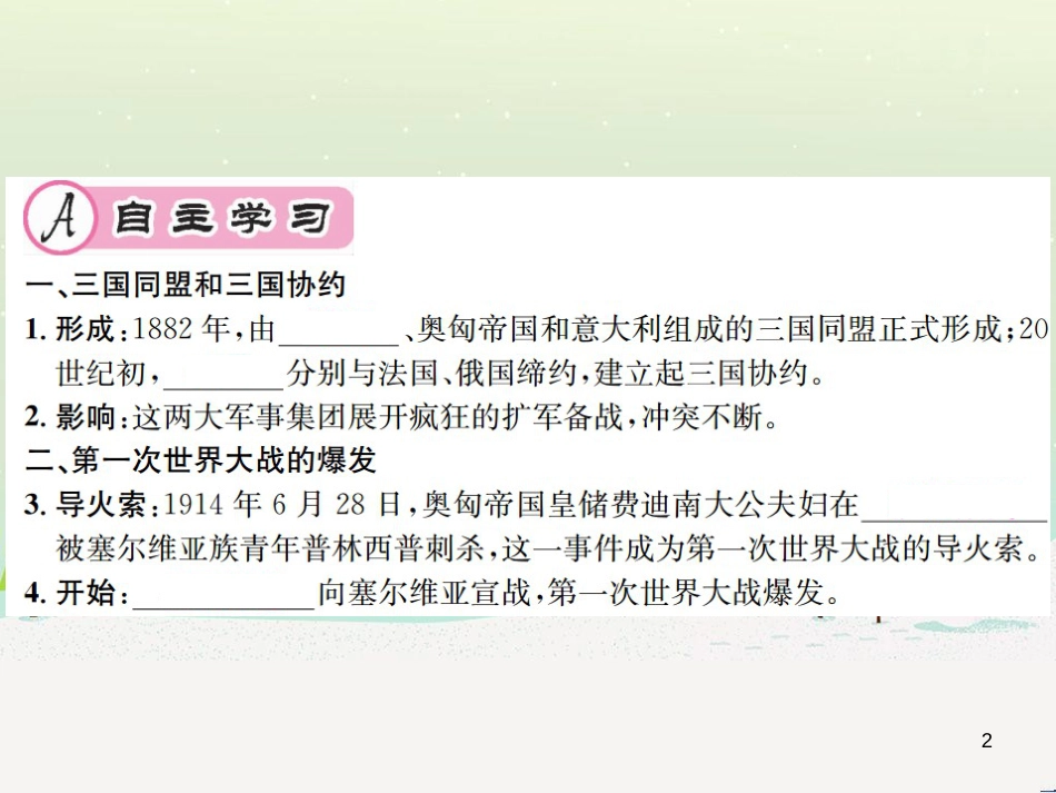 九年级历史下册 第3单元 第一次世界大战和战后初期的世界 第8课 第一次世界大战作业课件 新人教版_第2页