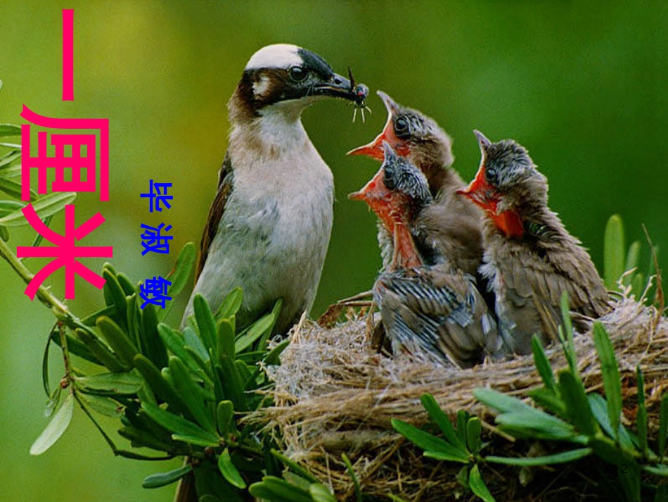 九年级语文下册 第一单元 1 家课件 语文版 (1322)_第2页