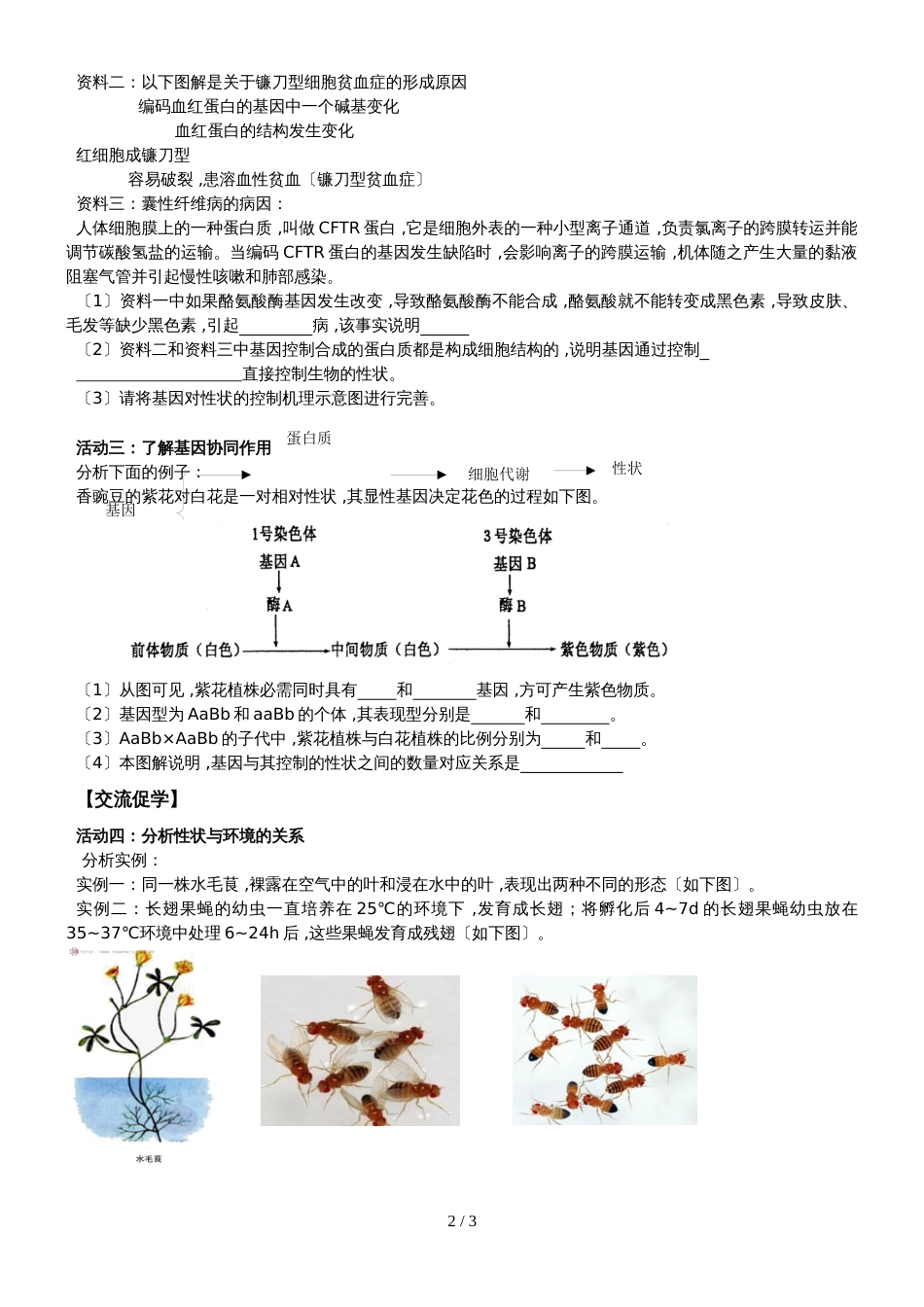 江苏省南通中学人教版高中生物必修二导学案（无答案）：第4章第2节  基因对性状的控制_第2页