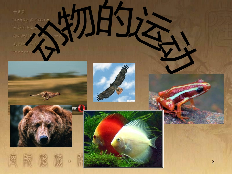 六年级科学上册 动物的运动课件1 青岛版_第2页