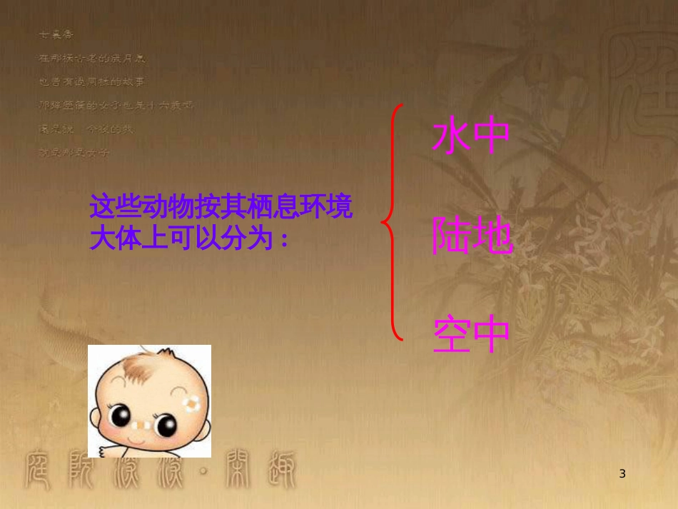 六年级科学上册 动物的运动课件1 青岛版_第3页