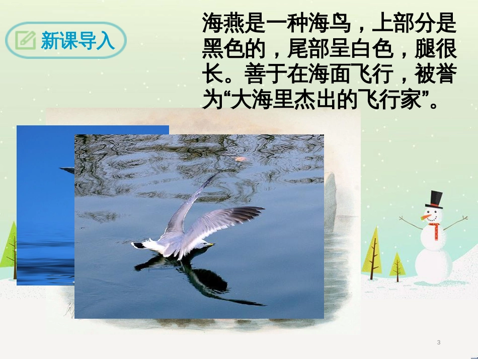 九年级语文下册 第一单元 4 海燕课件 新人教版_第3页