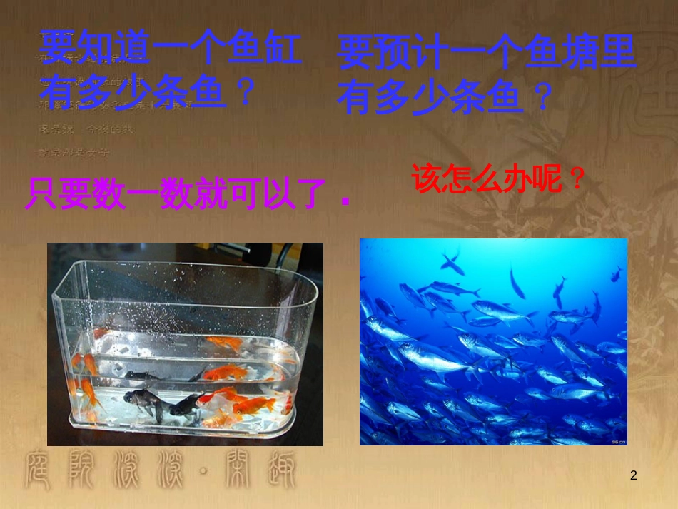 九年级数学上册 课题学习 池塘里有多少条鱼课件 （新版）北师大版_第2页