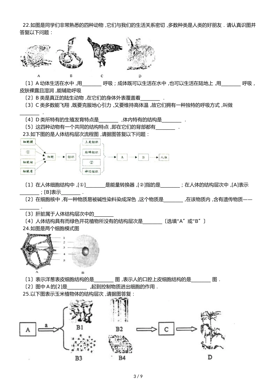 冀少版七年级上册生物第二章 生物体的结构层次 单元巩固练习及解析_第3页