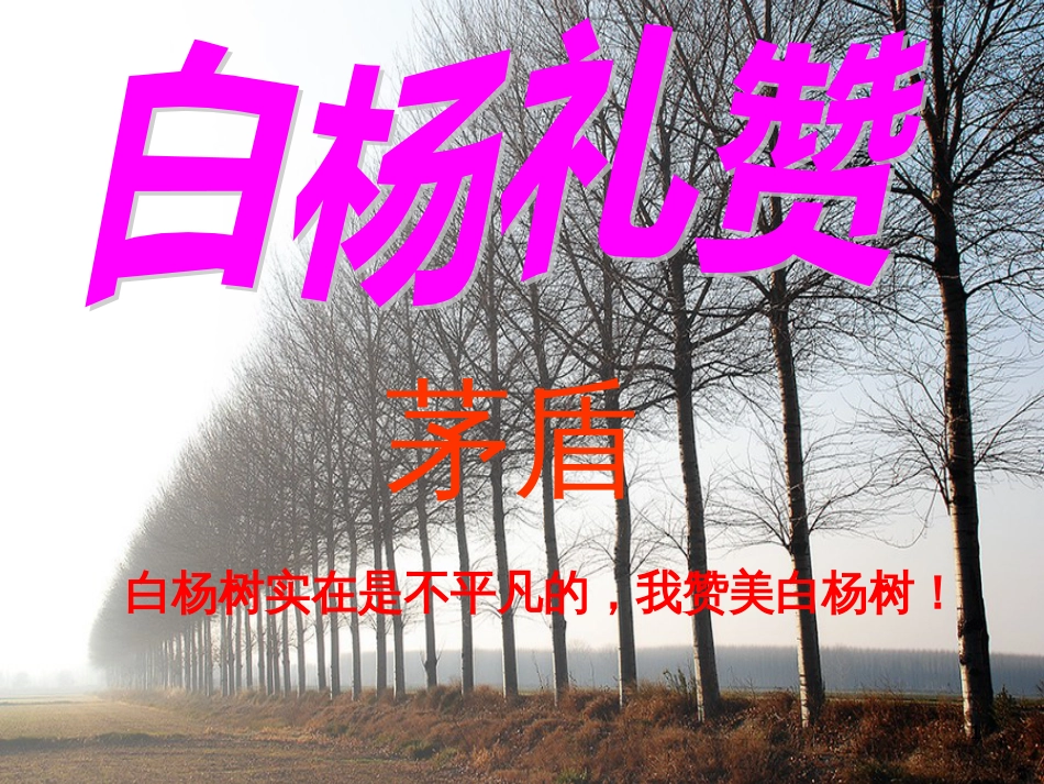 九年级语文上册 第1课《白杨礼赞》课件 语文版_第1页
