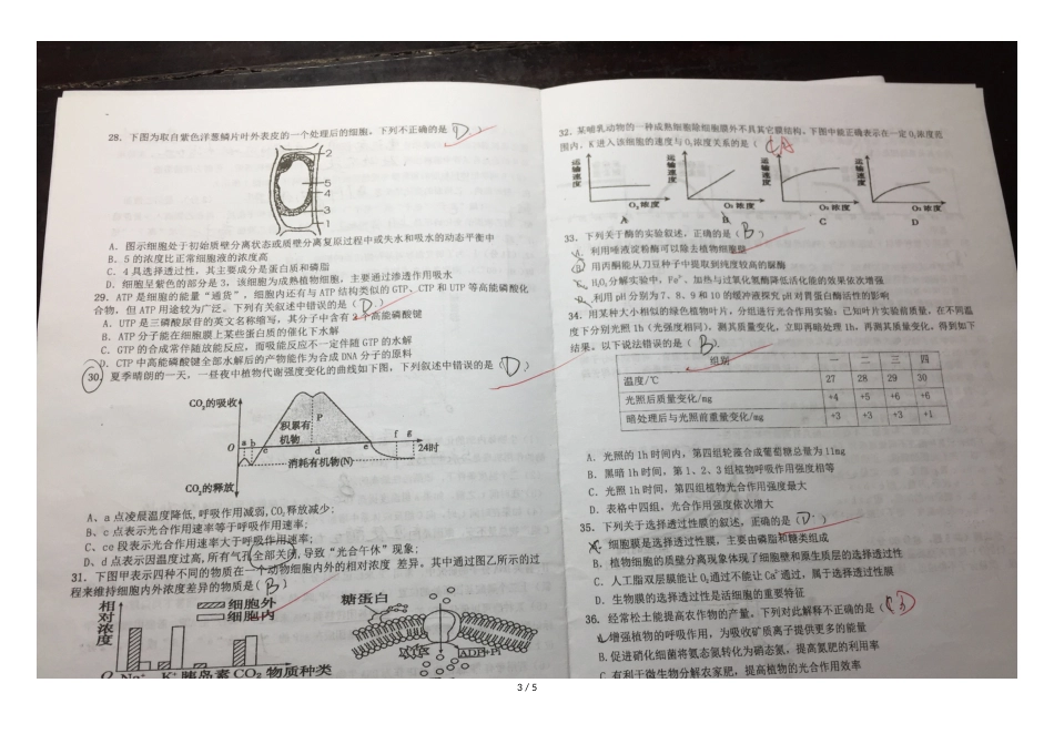 江西省南昌市外国语学校高三理科生物10月份月考试卷_第3页