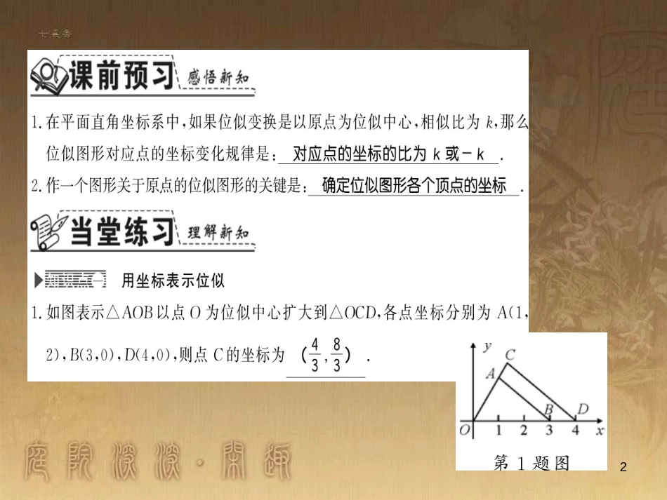 九年级数学上册 第3章 图形的相似 3.6.2 平面直角坐标系中的位似习题课件 （新版）湘教版_第2页