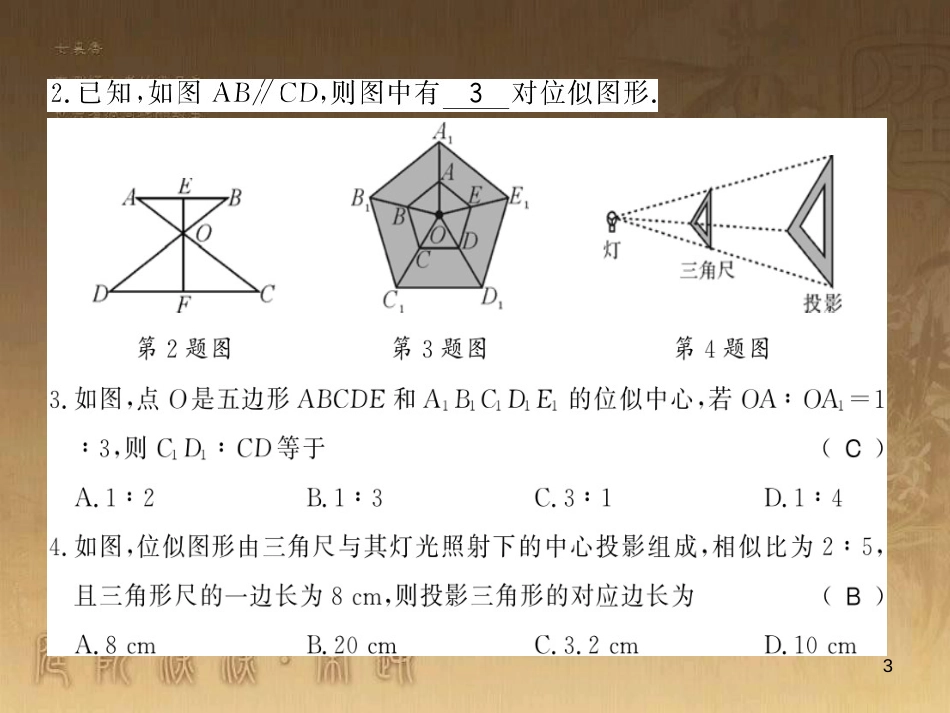 九年级数学上册 第3章 图形的相似 3.6.1 位似变换习题课件 （新版）湘教版_第3页