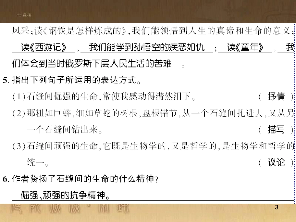 九年级语文下册 口语交际一 漫谈音乐的魅力习题课件 语文版 (78)_第3页