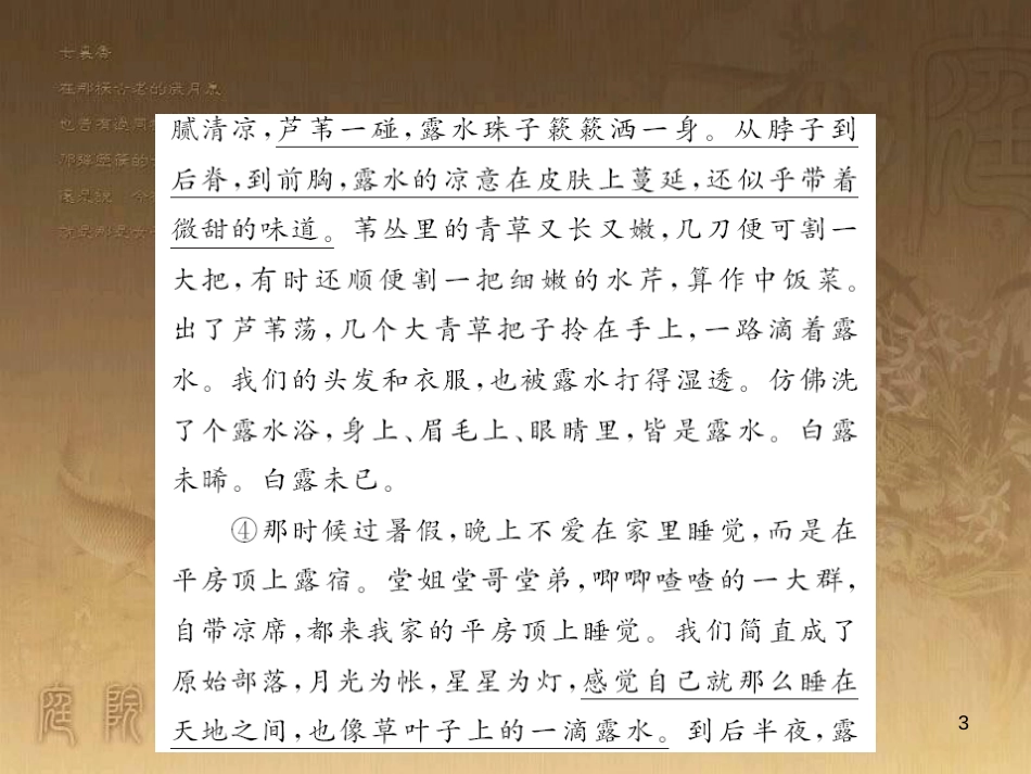九年级语文上册 阅读专题训练一 散文小说课件 语文版_第3页