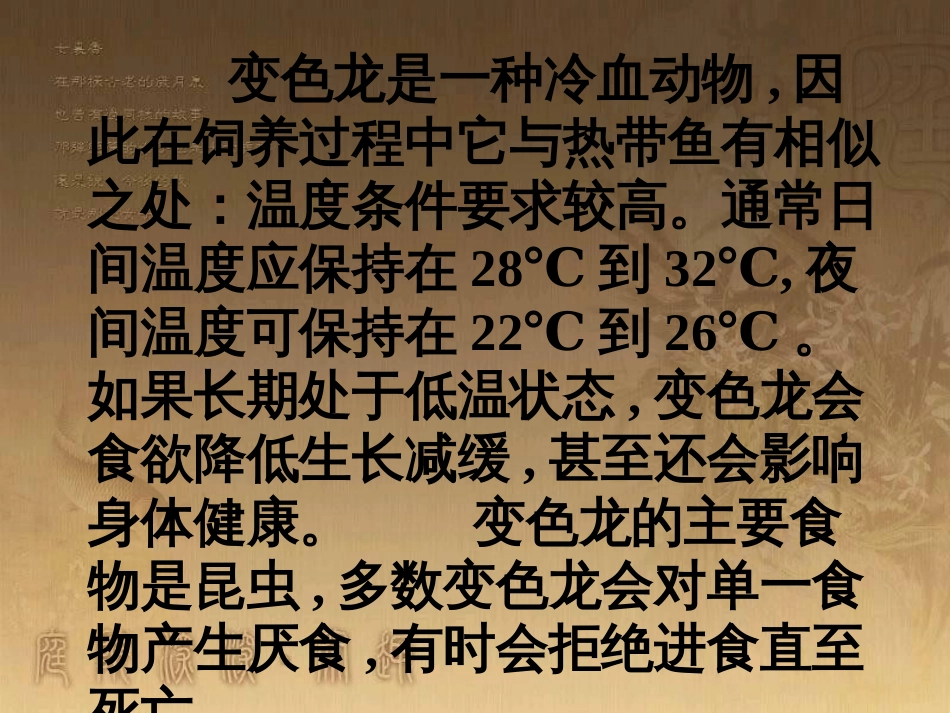 六年级科学上册 变色龙课件1 青岛版_第3页