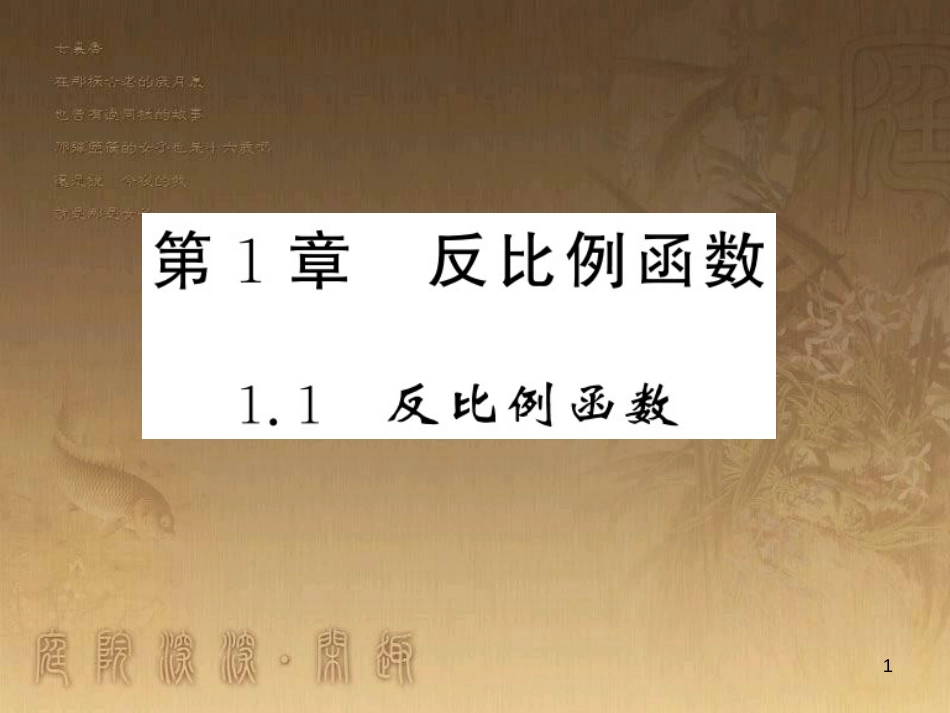 九年级数学上册 第1章 反比例函数 1.1 反比例函数习题课件 （新版）湘教版_第1页