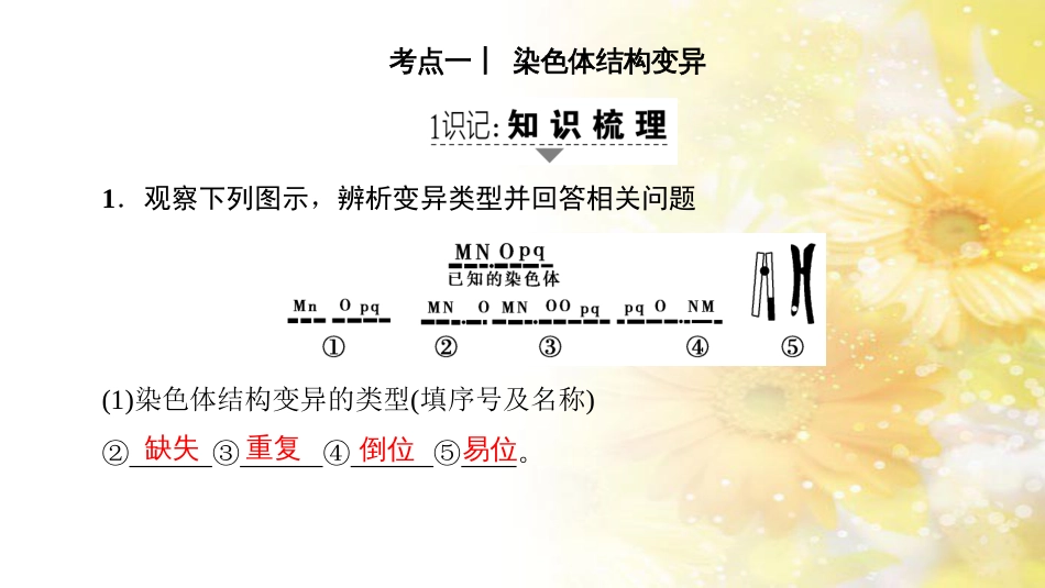 九年级语文下册 第一单元 1 家课件 语文版 (1037)_第2页