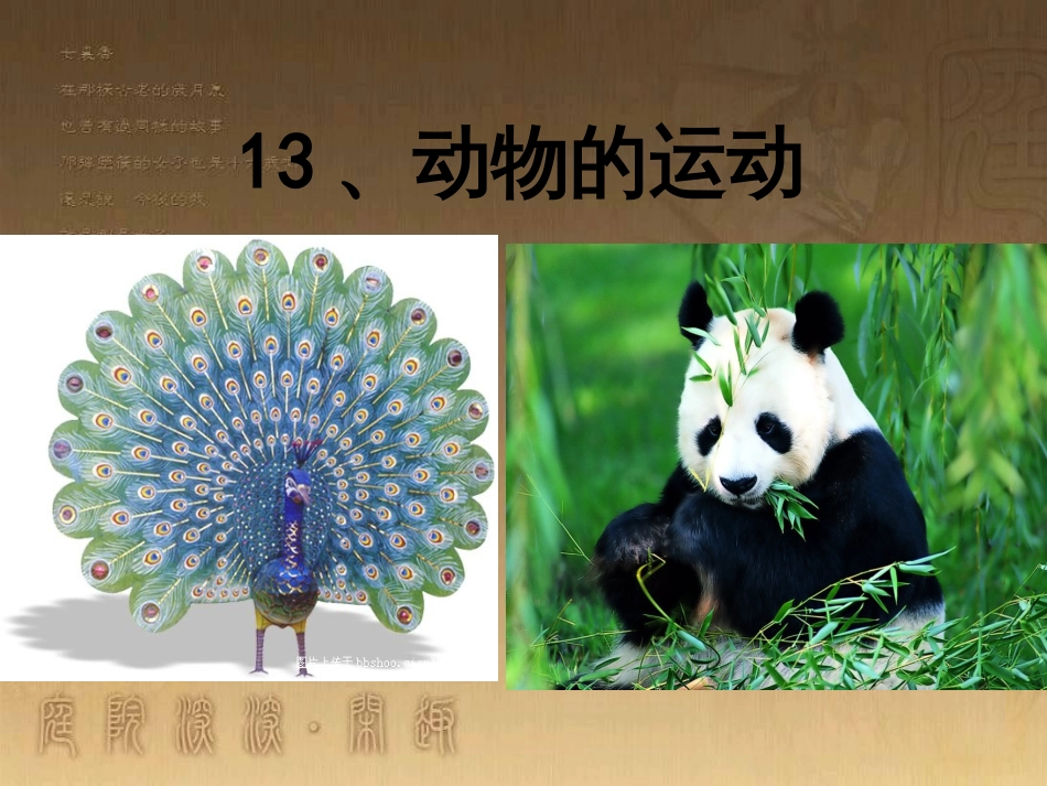 六年级科学上册 动物的运动课件2 青岛版_第1页