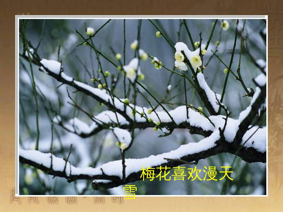九年级语文上册 2017-2018学年九年级语文上册 课外古诗词 卜算子咏梅教学课件 新人教版_第3页
