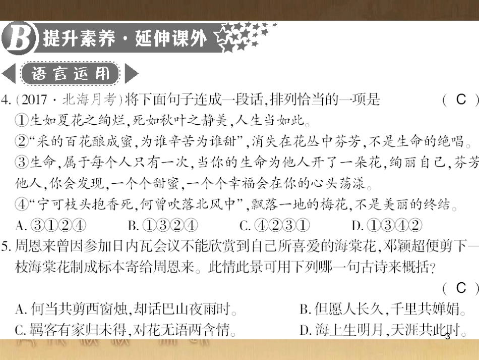 九年级语文下册 综合性学习一 漫谈音乐的魅力习题课件 语文版 (33)_第3页