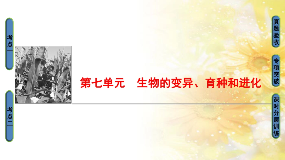九年级语文下册 第一单元 1 家课件 语文版 (1036)_第1页