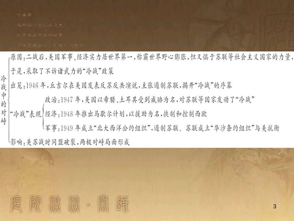 九年级历史下册 第七单元 第14课 冷战中的对峙习题课件 新人教版_第3页