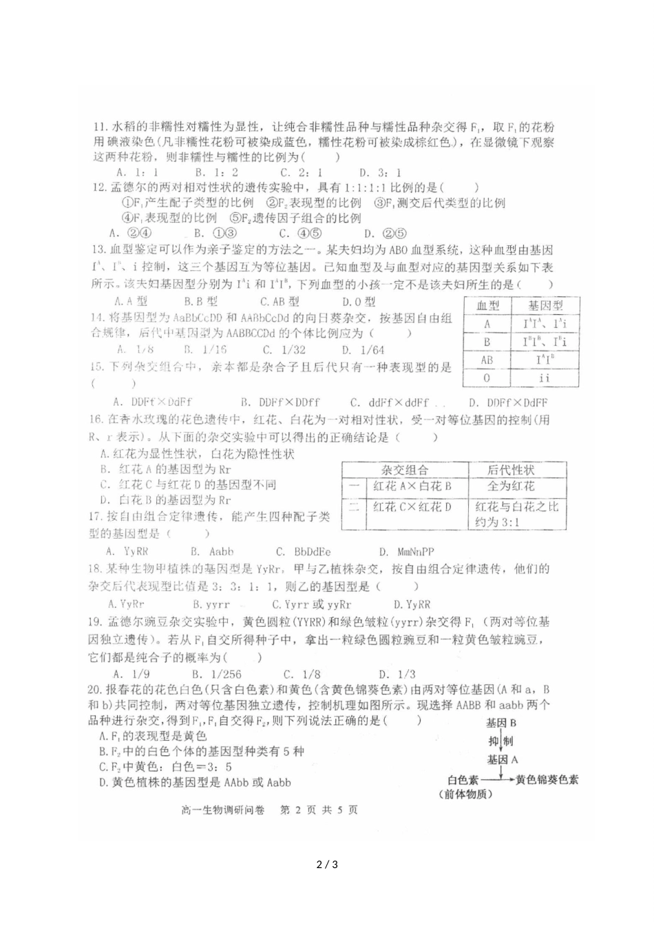 辽宁省大连市第十六中学高一下学期第一次调研问卷生物试题（图片版，）_第2页