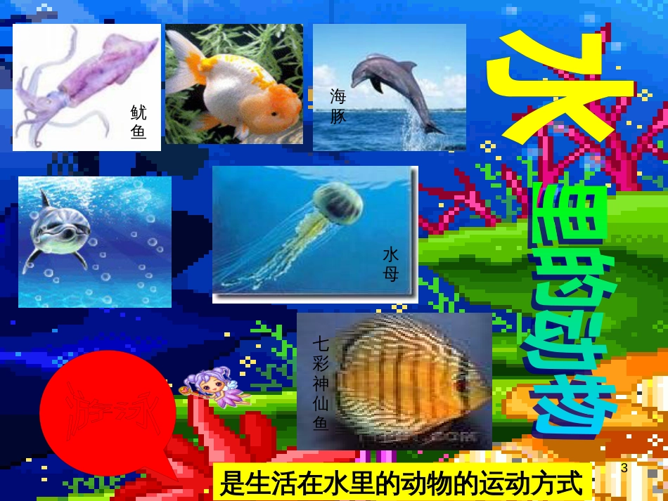 六年级科学上册 动物的运动课件3 青岛版_第3页