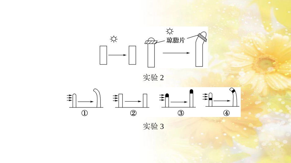 九年级语文下册 第一单元 1 家课件 语文版 (1044)_第3页