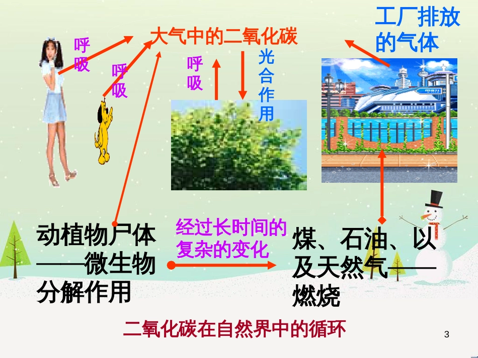 九年级化学上册 第2章 身边的化学物质 2.2 奇妙的二氧化碳课件 沪教版_第3页