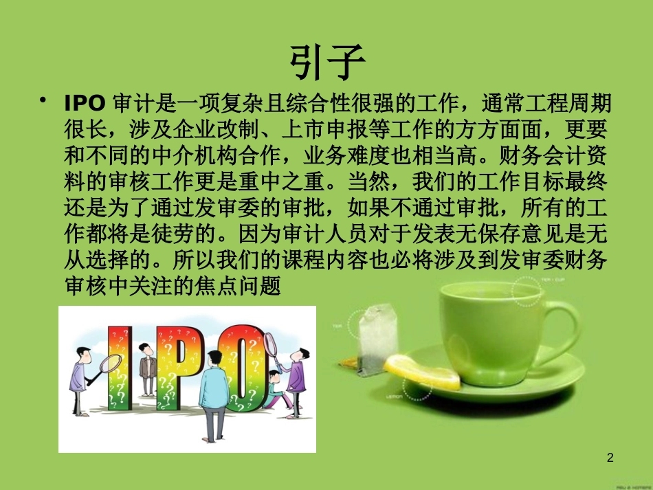 IPO财务审核_审计职业关注要点与案例分析_第2页