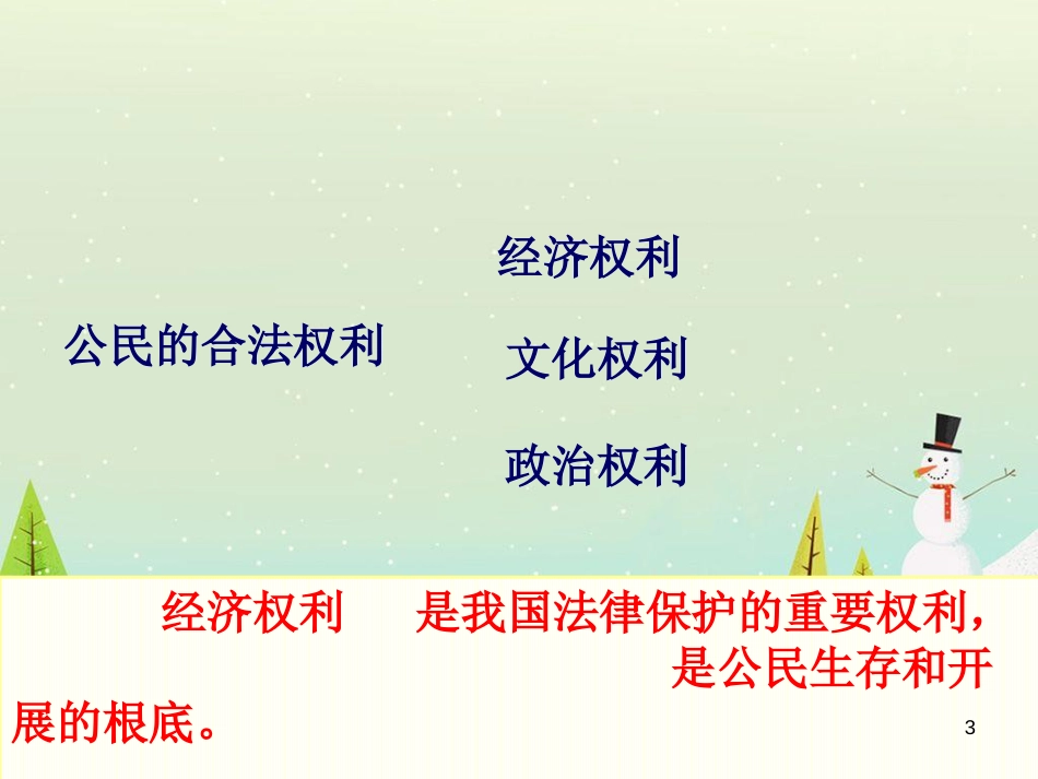 维护合法管理权利及财务知识分析法_第3页