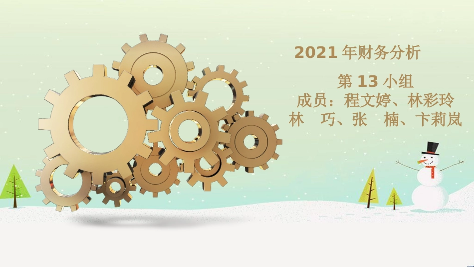 某公司财务分析教材_第1页