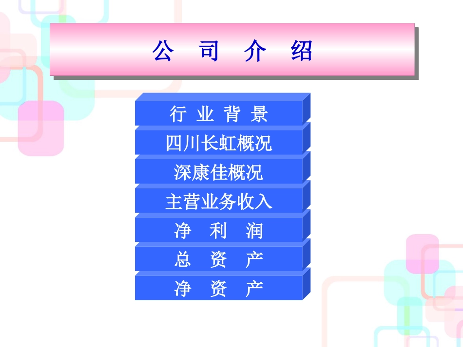 CSS财务分析案例_第3页
