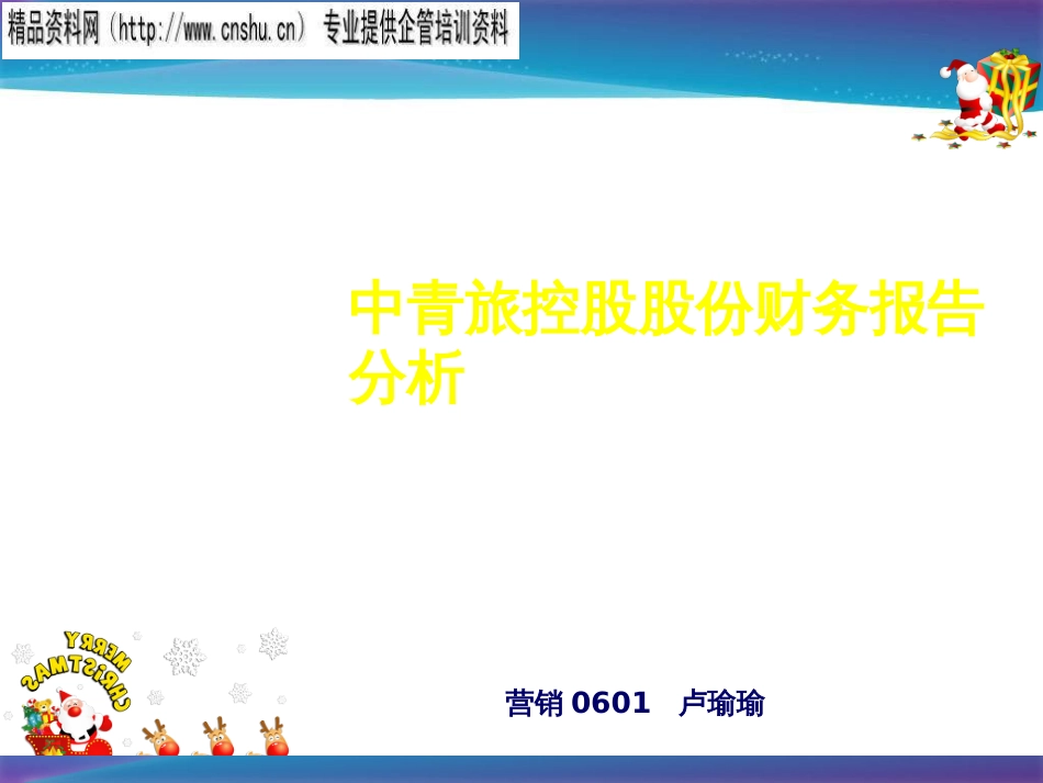 某公司财务报告分析_第1页