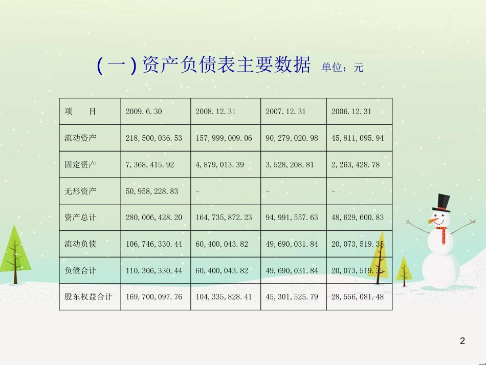 特瑞德(3000001)的财务分析-129_第2页