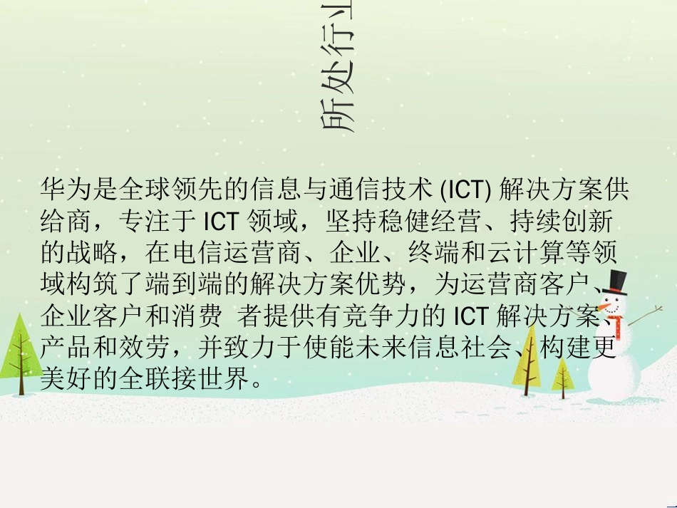 华为财务报表分析(PPT35页)_第3页