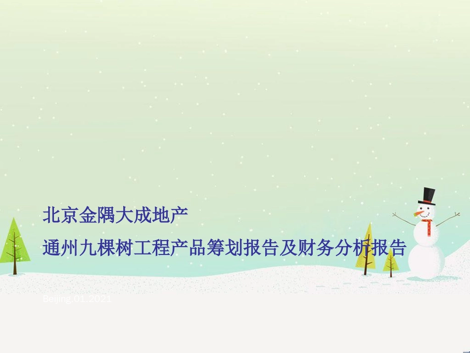 某房地产项目产品策划报告及财务分析报告_第1页